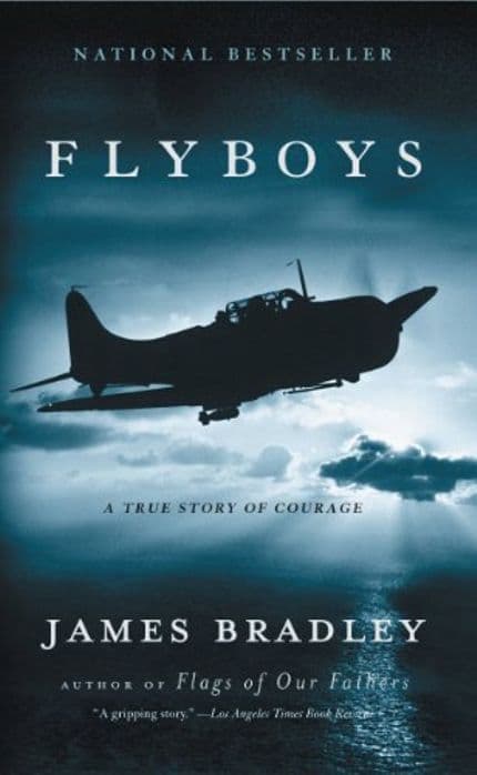 military history books flyboys