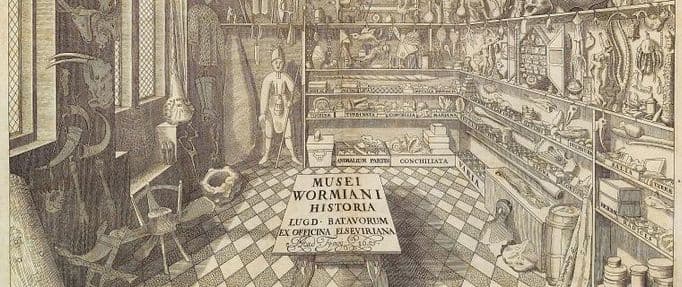 The History of Museums, from "Cabinets of Curiosity" to Today