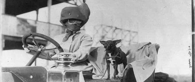 featured photo dogs motoring from the library of congress