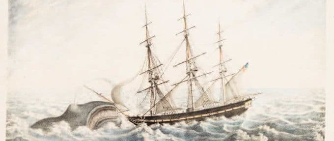 The Harrowing Ordeal of the Essex, the Ship That Was Sunk by a Whale