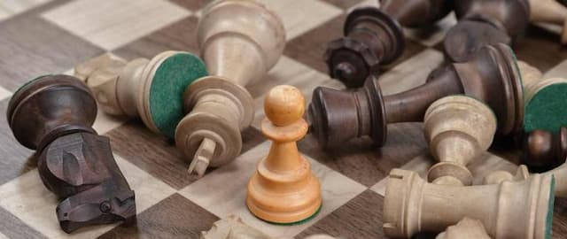 6 Best Chess Books That Shed Light on the Beloved Game
