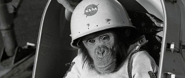 The Chimp That Was Launched Into Space