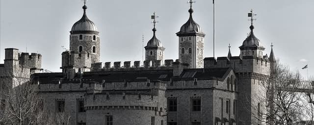 These Bloody Days: The Tower of London in Tudor England
